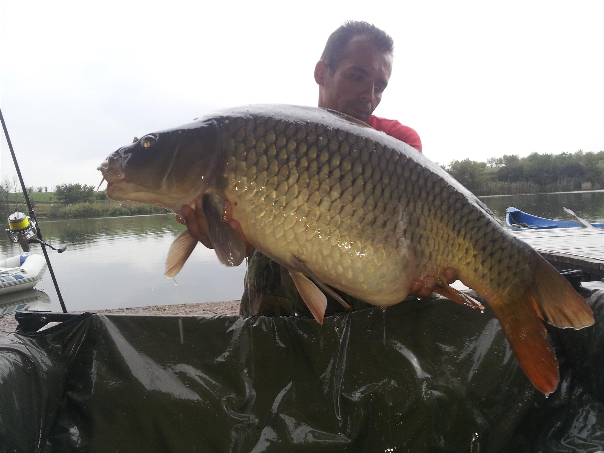 Tancabesti 31 august - 7 septembrie 2014 - 20140903182801.jpg